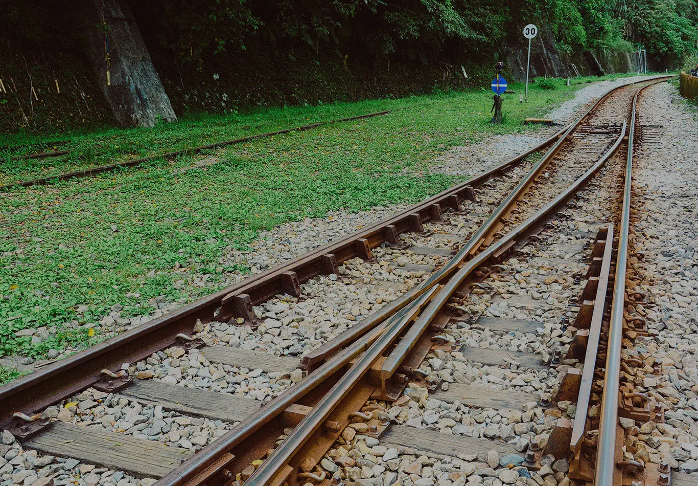 Train tracks in the middle of the forest