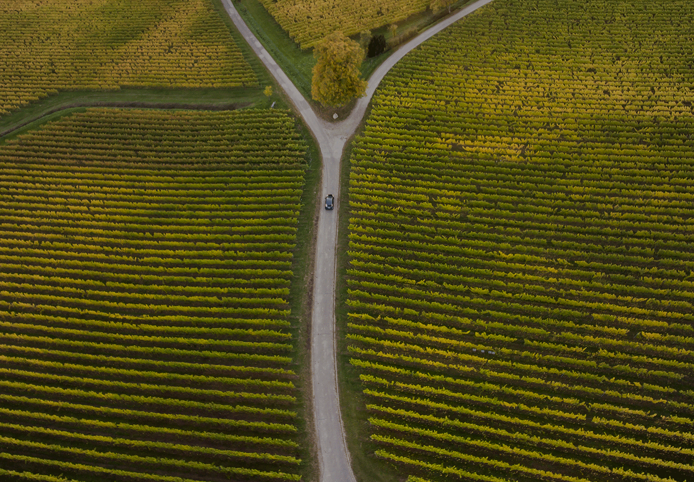 Bird's eye view of large fields and a road with a car driving on it.
